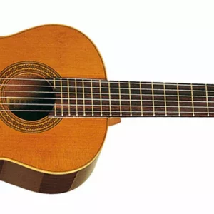 Guitare Esteve Modele 3